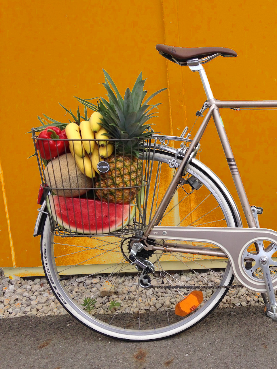 Vegan Grocery Shopping by Bicycle